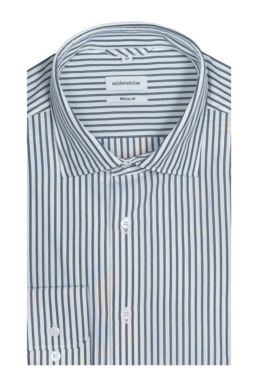 Фото рубашки Прямой силуэт Рубашка SEIDENSTICKER, цвет синий